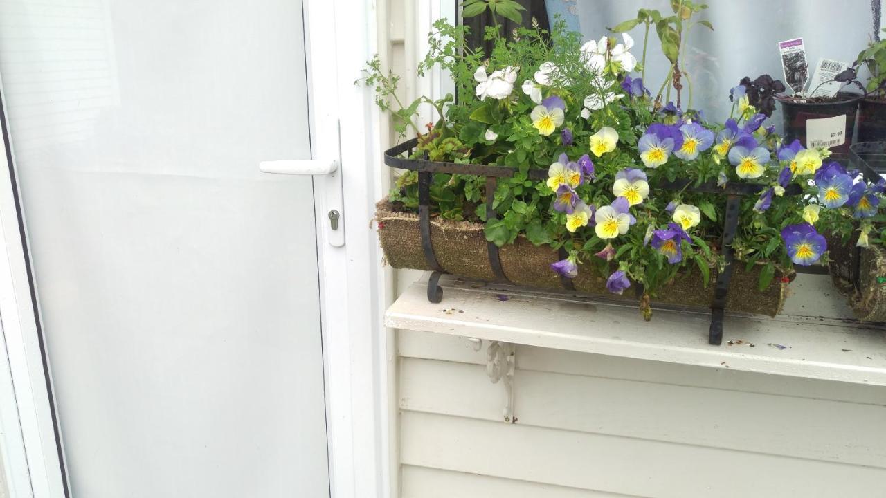 ستراتفورد Geranium Cottage-Mt Taranaki المظهر الخارجي الصورة